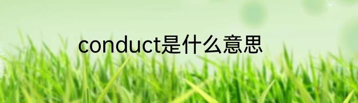 conduct是什么意思