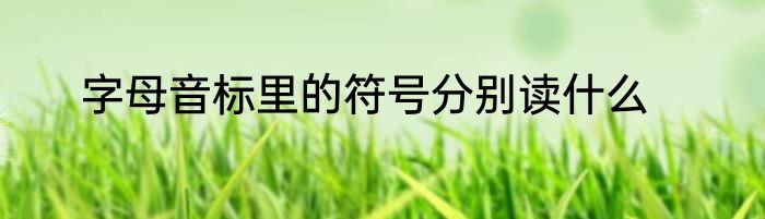 字母音标里的符号分别读什么