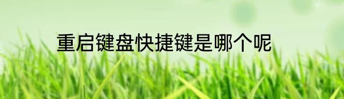 重启键盘快捷键是哪个呢