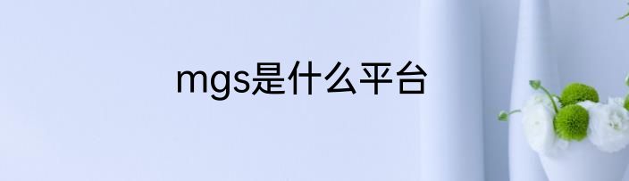 mgs是什么平台
