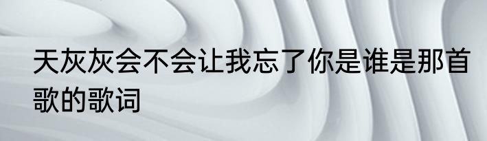 天灰灰会不会让我忘了你是谁是那首歌的歌词