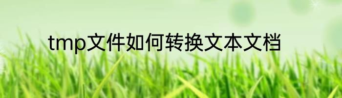 tmp文件如何转换文本文档