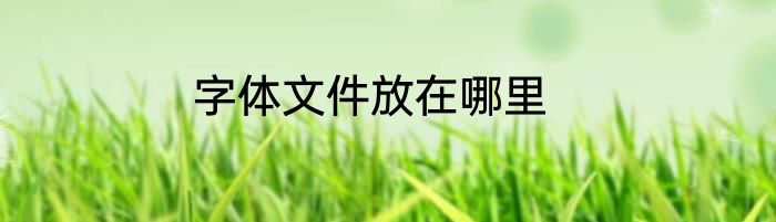 字体文件放在哪里