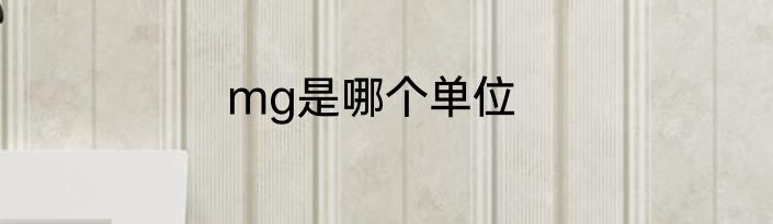 mg是哪个单位
