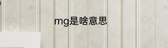 mg是啥意思