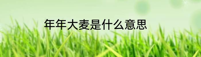 年年大麦是什么意思