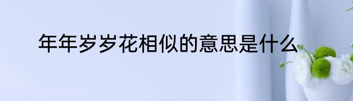 年年岁岁花相似的意思是什么