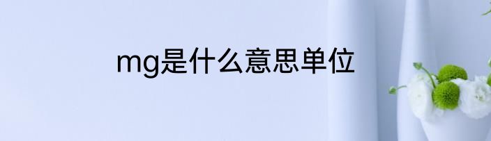 mg是什么意思单位