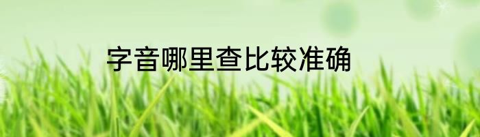 字音哪里查比较准确