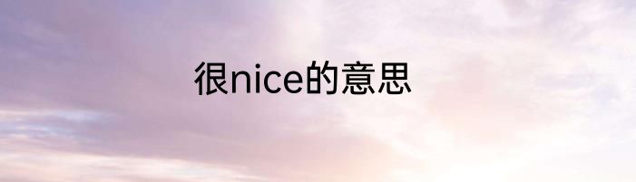 很nice的意思