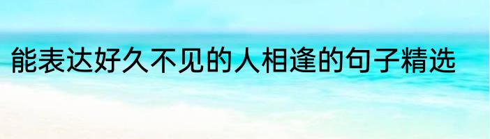 能表达好久不见的人相逢的句子精选
