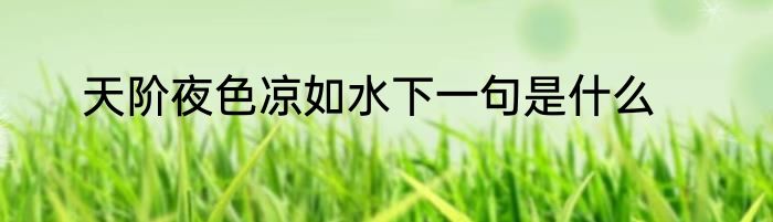 天阶夜色凉如水下一句是什么