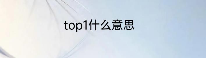 top1什么意思