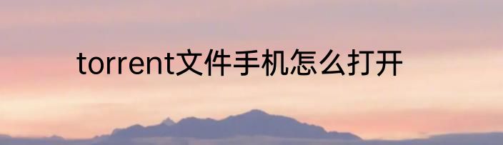 torrent文件手机怎么打开