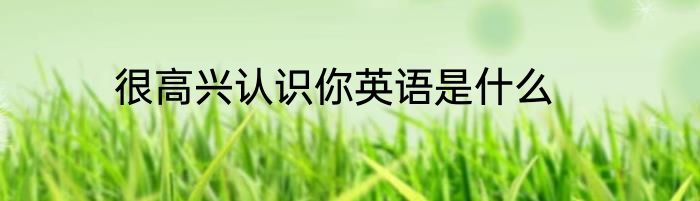很高兴认识你英语是什么