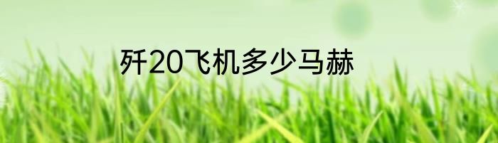歼20飞机多少马赫