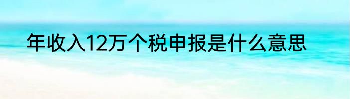年收入12万个税申报是什么意思