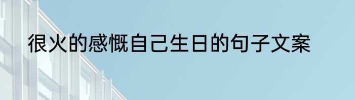 很火的感慨自己生日的句子文案