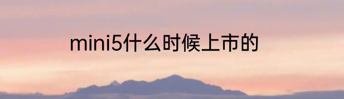 mini5什么时候上市的