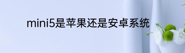 mini5是苹果还是安卓系统