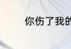 你伤了我的心歌词分别介绍