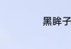 黑眸子是什么意思
