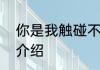 你是我触碰不到的风醒不来的梦歌名介绍