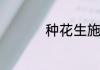 种花生施什么肥料最好