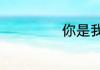 你是我的荣耀简介