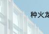 种火龙果几年结果