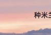 种米兰花的方法