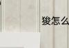 狻怎么读狻的意思