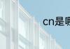 cn是哪个动漫公司