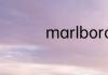 marlboro是什么烟白色