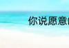 你说愿意的那天起什么歌