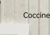 Coccinelle是什么牌子
