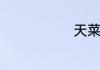 天菜是什么梗