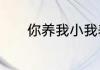 你养我小我养你老的句子精选