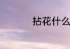 拈花什么的成语有哪些