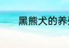 黑熊犬的养殖方法和注意事项