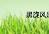 黑旋风是哪部电视剧