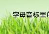 字母音标里的符号分别读什么