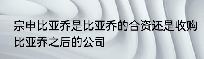 宗申比亚乔是比亚乔的合资还是收购比亚乔之后的公司