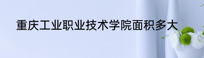 重庆工业职业技术学院面积多大