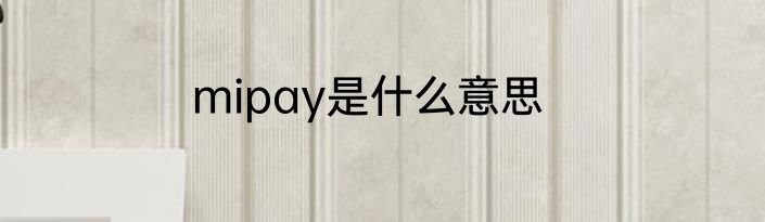 mipay是什么意思