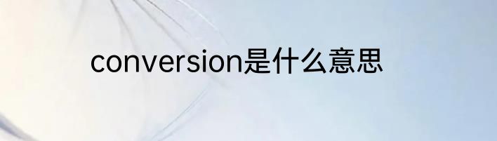 conversion是什么意思
