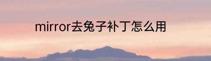 mirror去兔子补丁怎么用