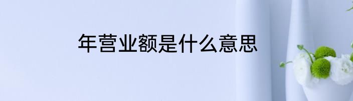 年营业额是什么意思