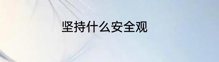 坚持什么安全观