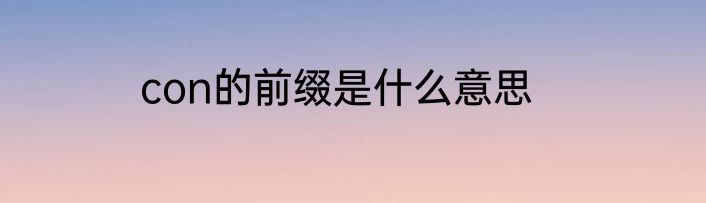 con的前缀是什么意思